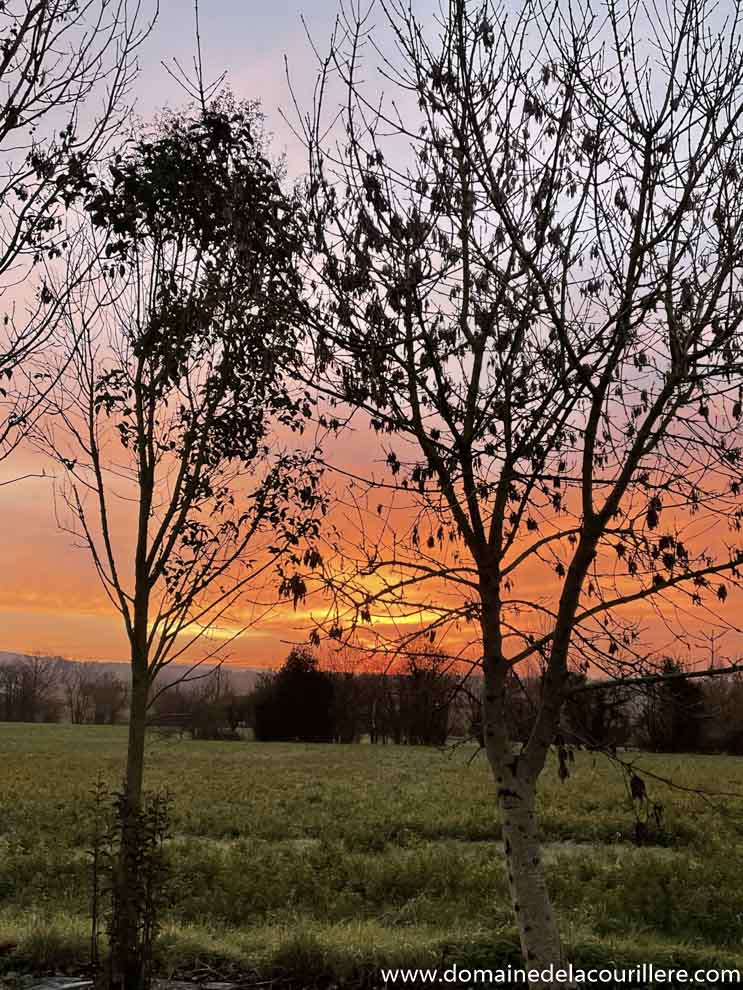 Randonnée et chemins pédestres en Vendée