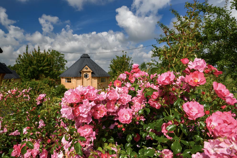 Chambre d&apos;hôtes avec jardin et fleurissement