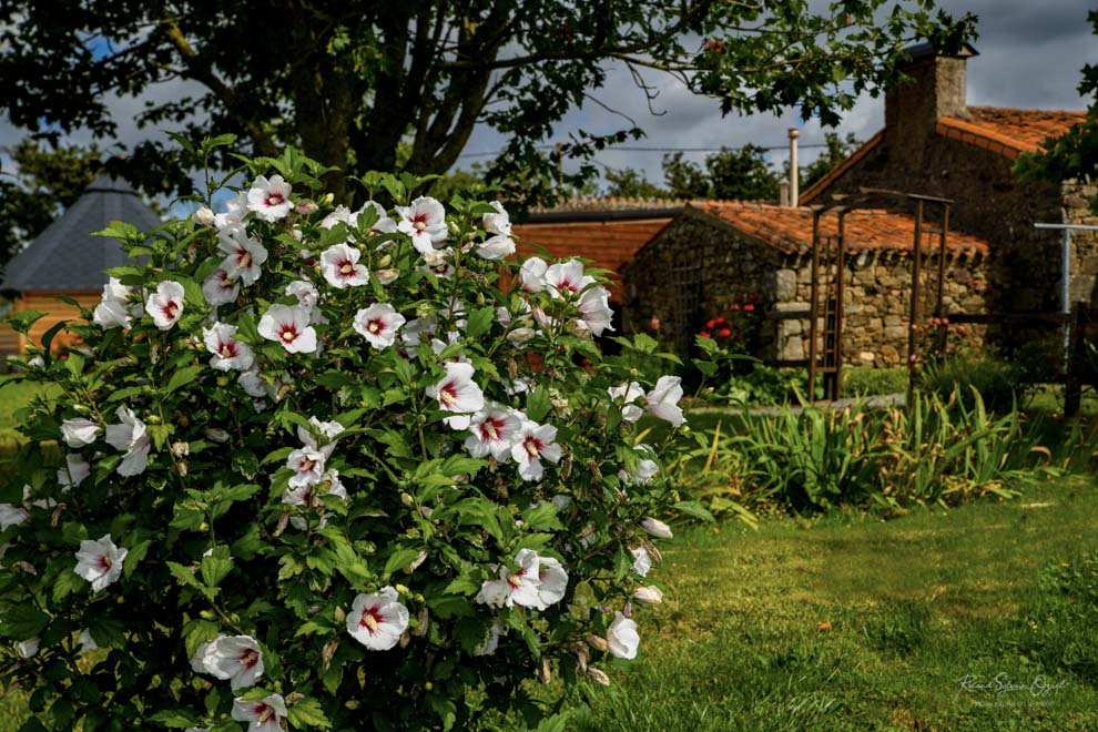 Chambres d&apos;hotes avec spa proche du puy du fou