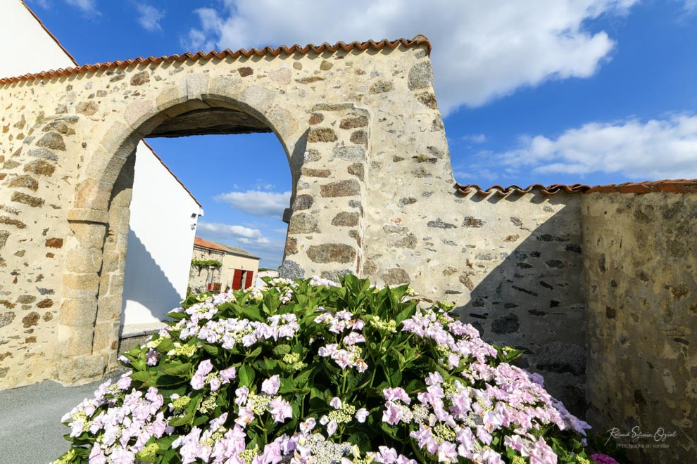 Jardin et fleurissement 