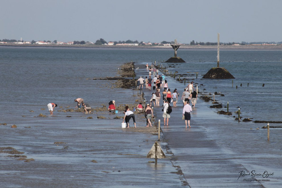 Chambres d'hôtes passage du gois