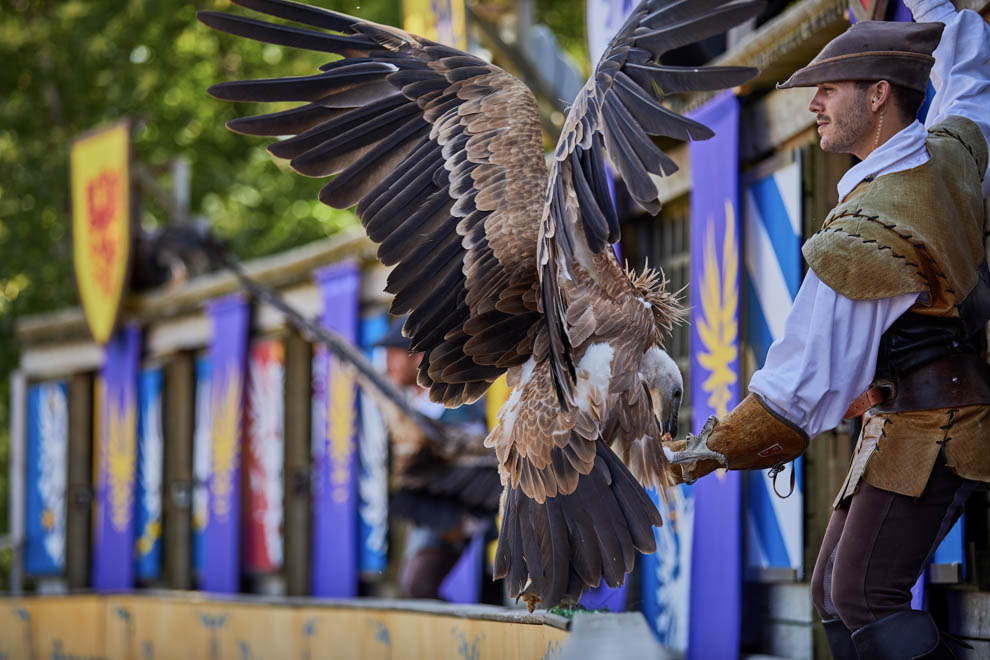 Hébergement dans un lieu insolite pendant votre week-end puy du Fou, le Bal des Oiseaux Fantomes