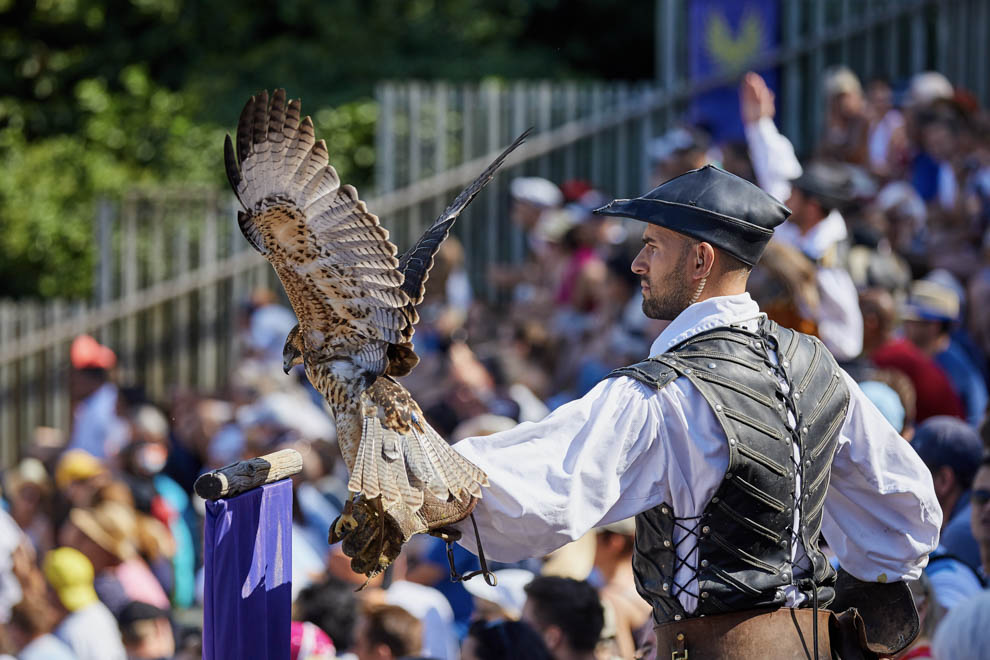 Le Bal des Oiseaux Fantômes - Spectacle du Puy du Fou