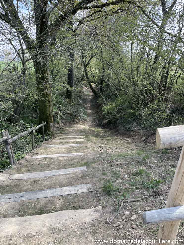 Nature et vacances en Vendée