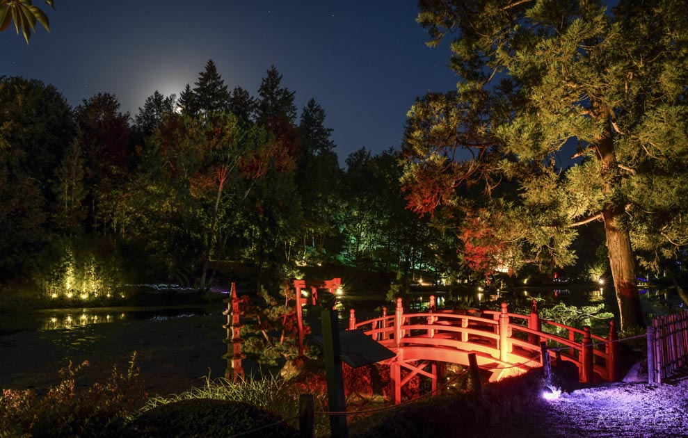 Visite nocturne au Parc Oriental de Maulévrier