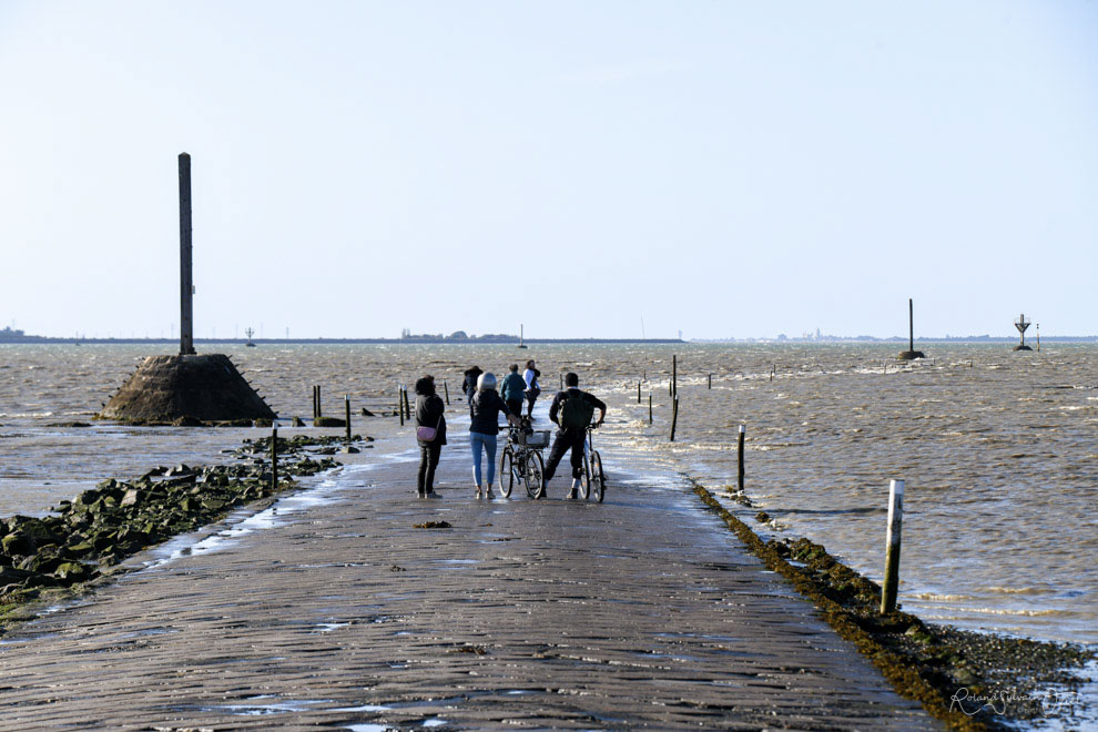 Visite du Passage du Gois