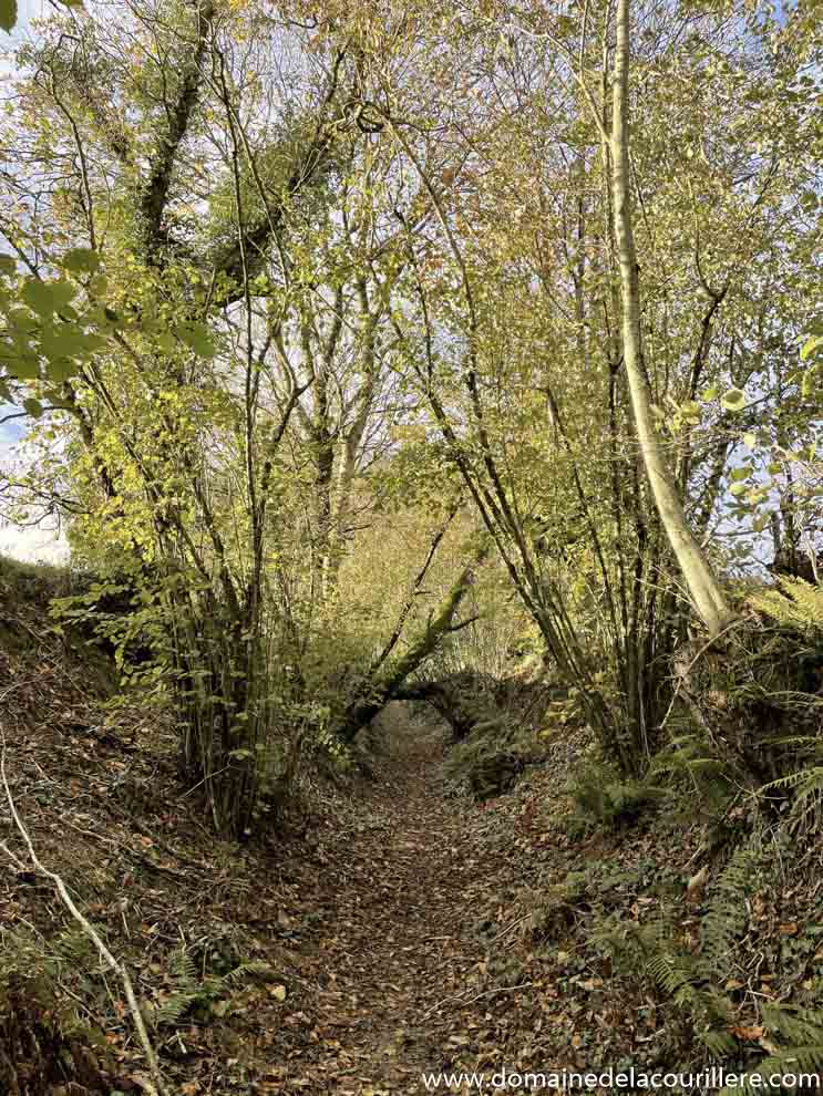 Chemins de randonnée en Vendée