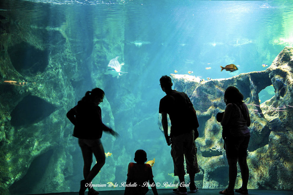 INtérieur de l'aquarium de la Rochelle