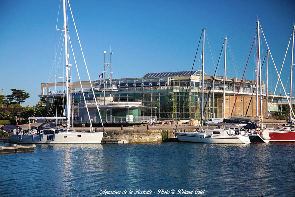 Aquarium de la Rochelle