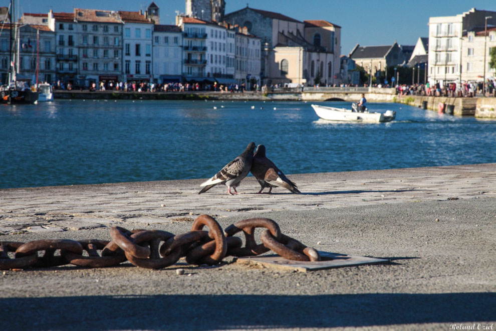 Chambre d'hôtes proche du port de la Rochelle