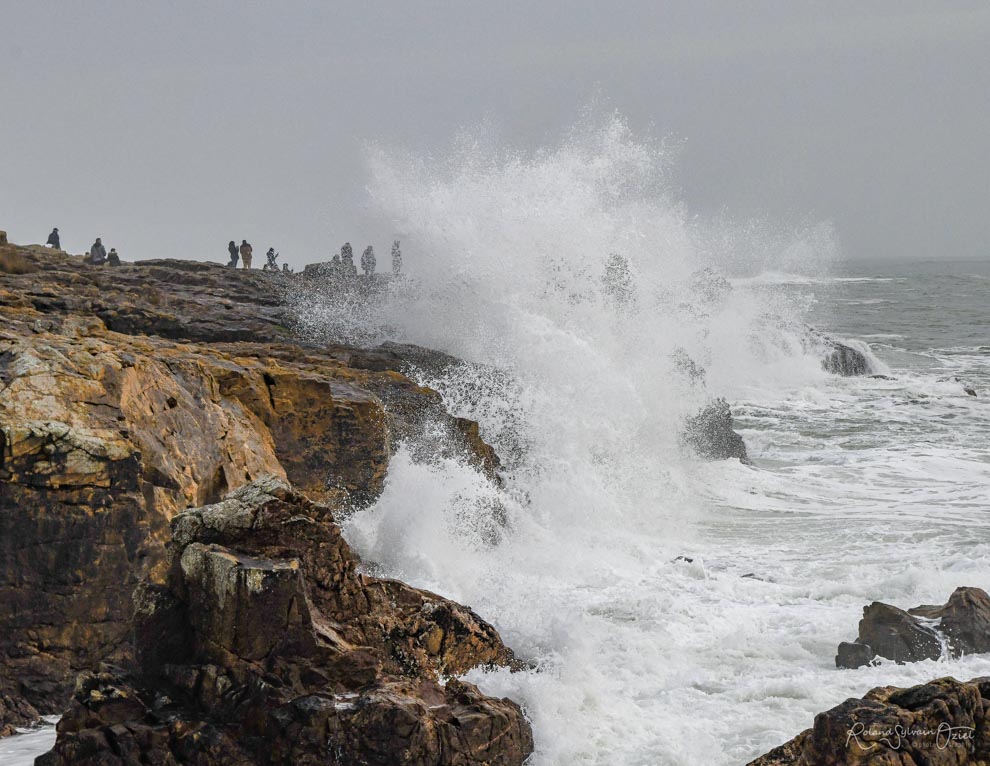 Chambre d'hôtes proche de la côte vendéenne du bord de mer des sables d'Olonne