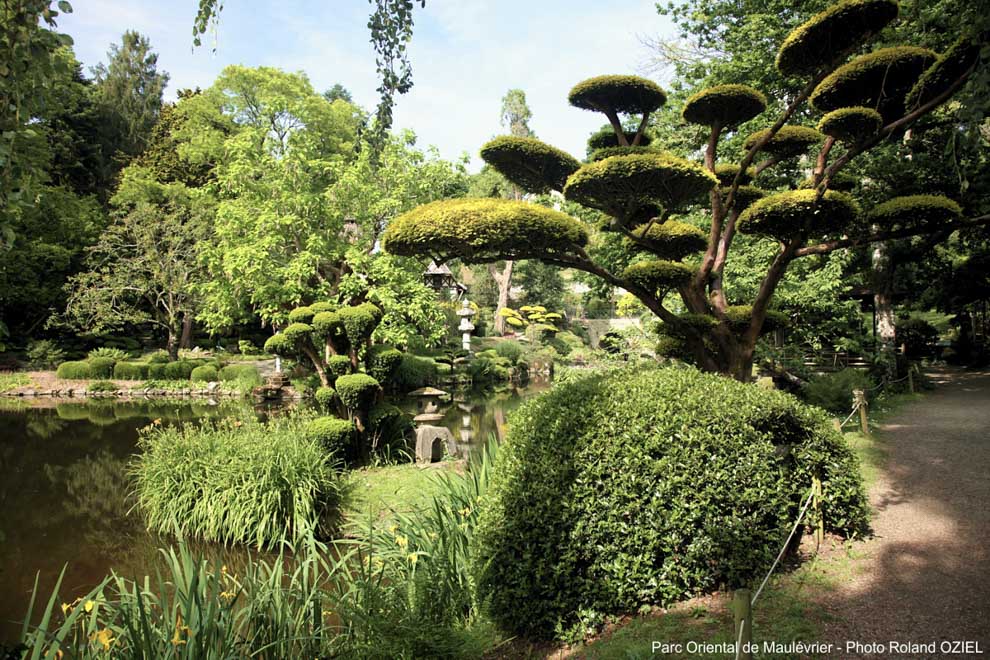 les arbres et arbustes Parc Oriental de Maulévrier