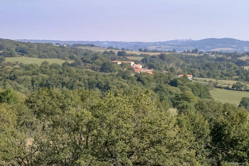 Paysage du bocage au Mont des Alouettes aux Herbiers