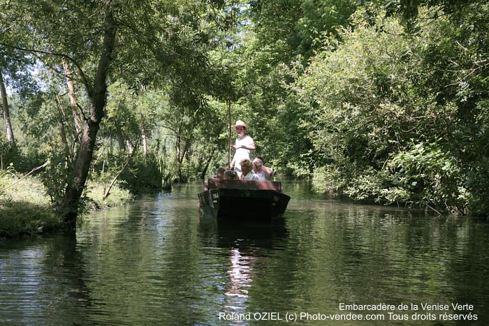 Balade en barque sur la Venise Verte du Marais Poittevin