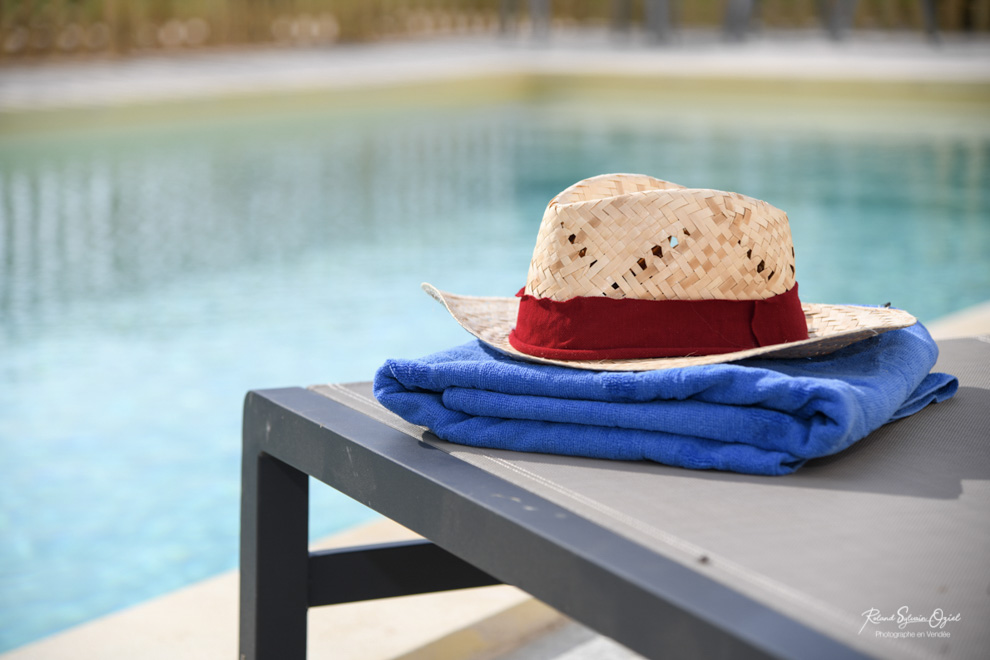 Chambres d&apos;hotes puy du fou avec piscine chauffée